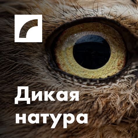 lires|Литрес – сервис электронных и аудиокниг, скачать в fb2 и .